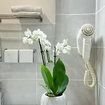 Πανσιόν Rhome 4*